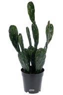 Cactus Opuntia artificiel cactée en pot H 50 cm D 25 cm Qualité Pro