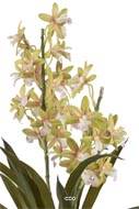 Orchidée cymbidium artificielle en pot, H 45 cm Crème vert