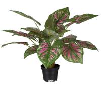 Caladium artificiel en pot H 40 cm D 50 cm Grandes feuilles tissu top