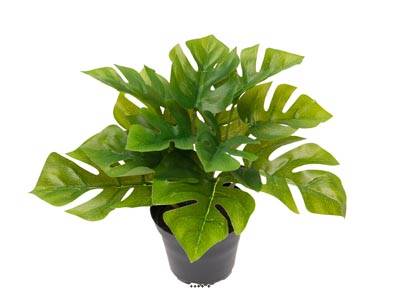 Philodendron artificiel en pot feuilles ouvertes H 17 cm D 21 cm