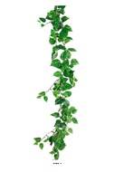 Guirlande de feuillage de Pothos panaché artificiel, L 125 cm