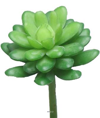 Echeveria elegans artificielle en piquet, H16 cm, D12 cm, Vert - BEST 