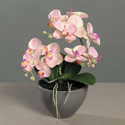 Orchidée phalaenopsis artificielle en coupe céramique H 35 cm Rose-crème