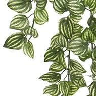 Chute d'Aphelandra artificielle, ou plante zèbre L 45 cm vert-blanc