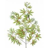 Branche d'aralia artificielle H 70 cm Magnifique vert-rouge