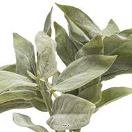 Herbe aromatique artificielle Sauge H 26cm