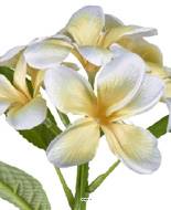 Frangipanier artificiel Jaune-Crème en branche fleurie H 28 cm