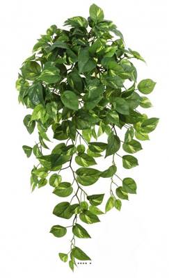 Piquet de Pothos artificiel Vert H 87 cm L 60 avec ramures