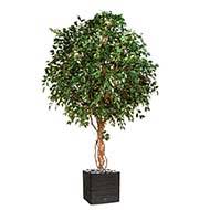 Ficus exotique géant artificiel H 315 cm 6600 feuilles en pot