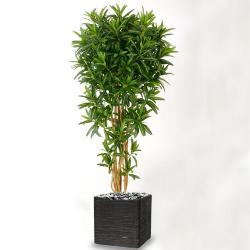 Croton Goldfinger reflexa factice H150 cm 1428 feuilles arbre en pot