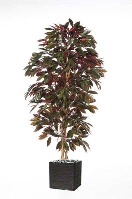 Capensia arbre artificiel H210cm 1088 feuilles Superbe et dense en pot