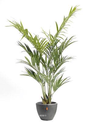 Palmier Kentia artificiel en pot superbe de réalisme H 180 cm Vert