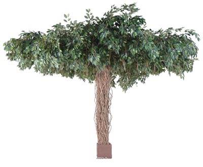 Ficus Artificiel Lianes Umbrella H320 cm D450 cm 25600 feuilles en pot