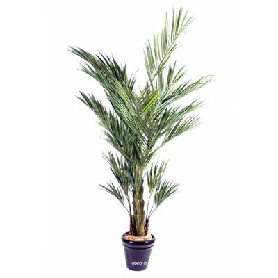 Palmier Kentia Artificiel Royal H 270 cm L 180 cm en pot