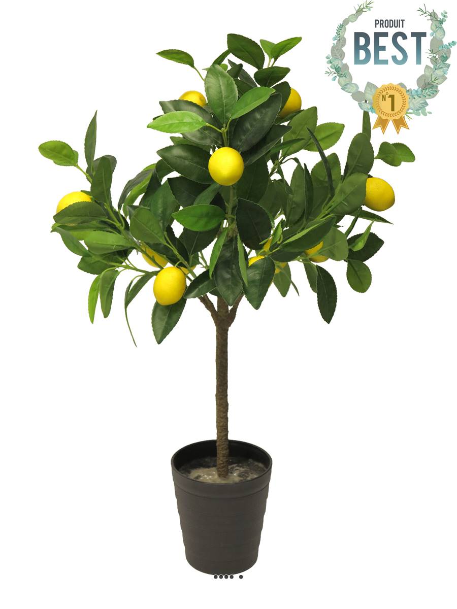 Citronnier Artificiel Avec Fruits Artificielles Com Citronnier Artificiel Avec Fruits Artificielles Com