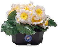 Composition fleurs artificielles cimetière pot carré primevères H17 cm D24 cm Blanc