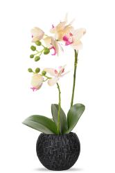 Orchidee artificielle 2 hampes en pot H 40 cm touché réel Vanille
