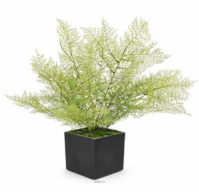 Asparagus artificiel en piquet 50 cm très dense extérieur