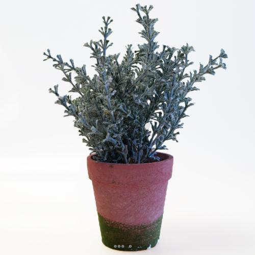 Herbe aromatique artificielle Thym superbe de réalisme