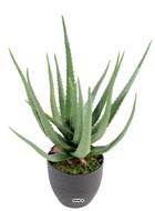 Aloé Vera artificiel H 60 cm cactus plante grasse en pot pvc