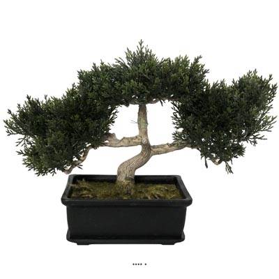 Bonsai artificiel Cedre H 23 cm 113 feuilles Lg 33 cm