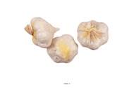 tête d ail artificiel en lot de 3 en Plastique soufflé H 70x50 mm