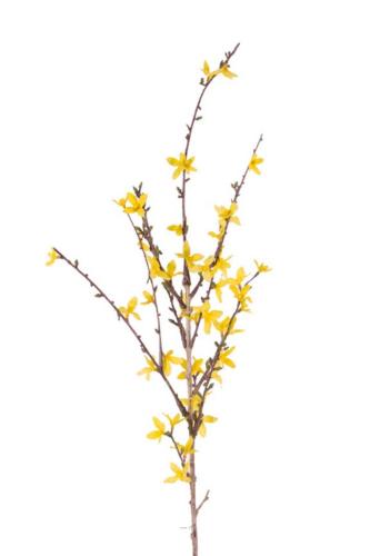 Branche de Forsythia artificiel Jaune H 88 cm 41 fleurs superbe