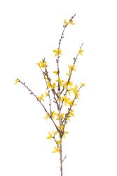 Branche de Forsythia artificiel Jaune H 88 cm 41 fleurs superbe