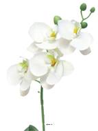 Orchidée Phalaenopsis factice en pot qualité déco H35cm Crème - BEST