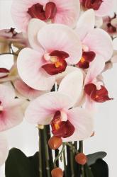 Orchidée Phalaenopsis factice Top Qualité & pot H140cm Rose-pâle-BEST
