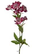 Astrance fleur factice H50cm 8 fleurs 2 ramures Rare Mauve violet