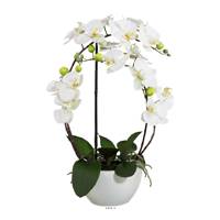 Orchidée factice 4 hampes en coupe céramique H60cm touché réel Crème