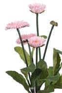 Bellis perennis, paquerettes artificielles en pot H 30 cm Rose pâle