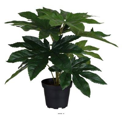 Aralia du Japon artificiel en pot, H 25 cm, D 25 cm