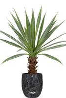 Agave artificiel sur pied en pot, H 40 cm, D 30,5 cm