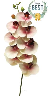 Tige orchidée phalaenopsis Factice 9 fleurons H77cm Pourpre-blanc-BEST