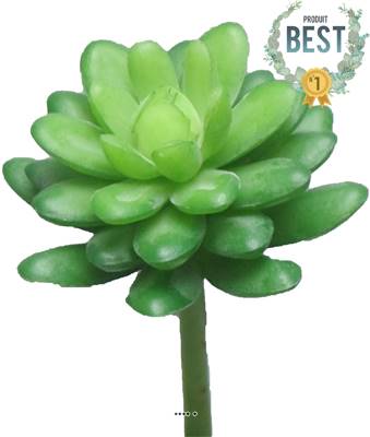 Echeveria elegans artificielle en piquet, H16 cm, D12 cm, Vert - BEST 