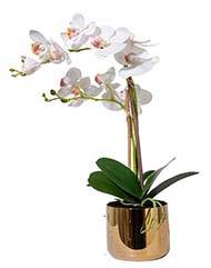 Orchidée phalaenopsis artificielle en pot superbe 2 hampes H 65 cm blanche