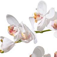 Orchidée phalaenopsis artificielle en pot superbe 2 hampes H 65 cm blanche