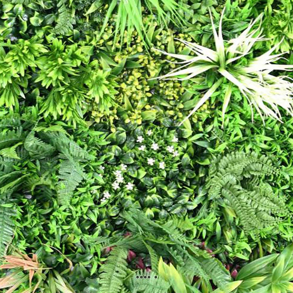 Plaque mur végétal artificiel ext 100 x 100 cm | Artificielles.com