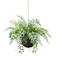 Kokedama plante artificielle fougère mixte D 25 cm