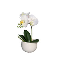 Adorable fausse orchidée coupe céramique H 16 cm Crème