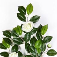 Superbe Branche de camelia artificiel h 55cm avec fleurs crème