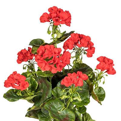 Geranium artificiel en piquet 40 cm 7 tetes superbes feuilles exterieur Rouge