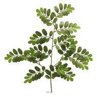 Robinia artificiel en branche H 69 cm D 40 cm Vert