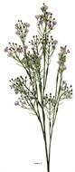 Branche fleurs clochettes artificielles en tige H 68 cm superbes fleurs en plastique Lavande