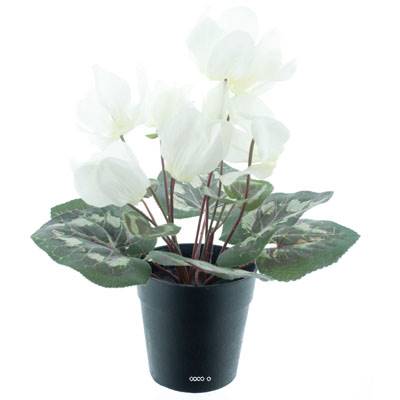 Cyclamen artificiel en pot 8 têtes H 24 cm Blanc jaune