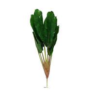 Piquet de 8 feuilles de bananiers artificiel H 55 cm