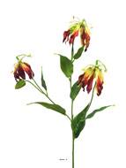 Fleur artificielle Gloriosa Burgundy 80 cm Largeur 28 cm – Tige flexible et réaliste Rouge-jaune