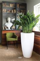 Bac fibres de verre gelcoat Ø 51 cm H 90 cm Ext. bullet blanc glossy